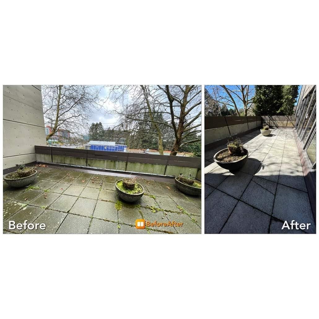 Before and after patio cleaning